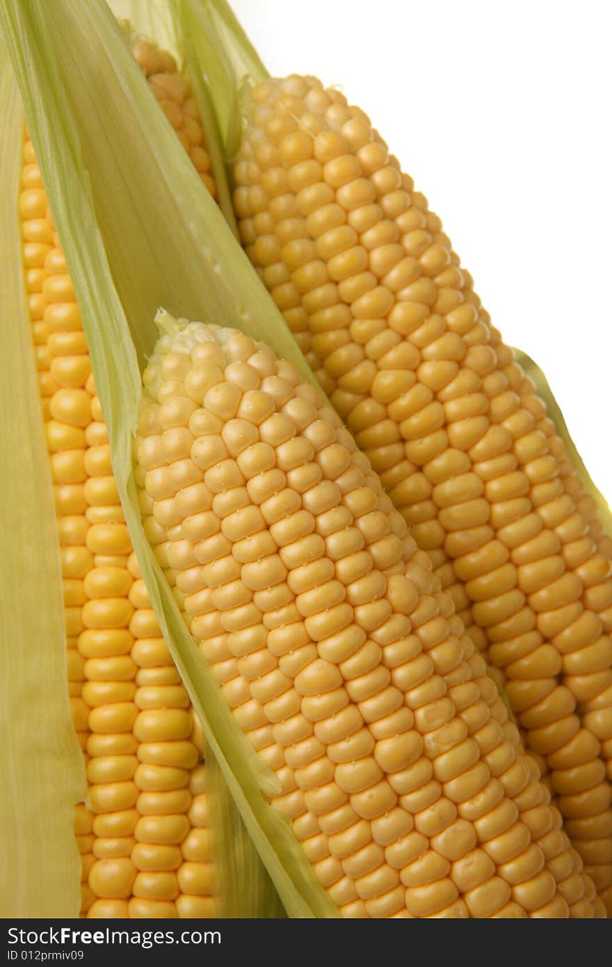 Close up on fresh corn on the cob with additional ears of corn in the background. Close up on fresh corn on the cob with additional ears of corn in the background