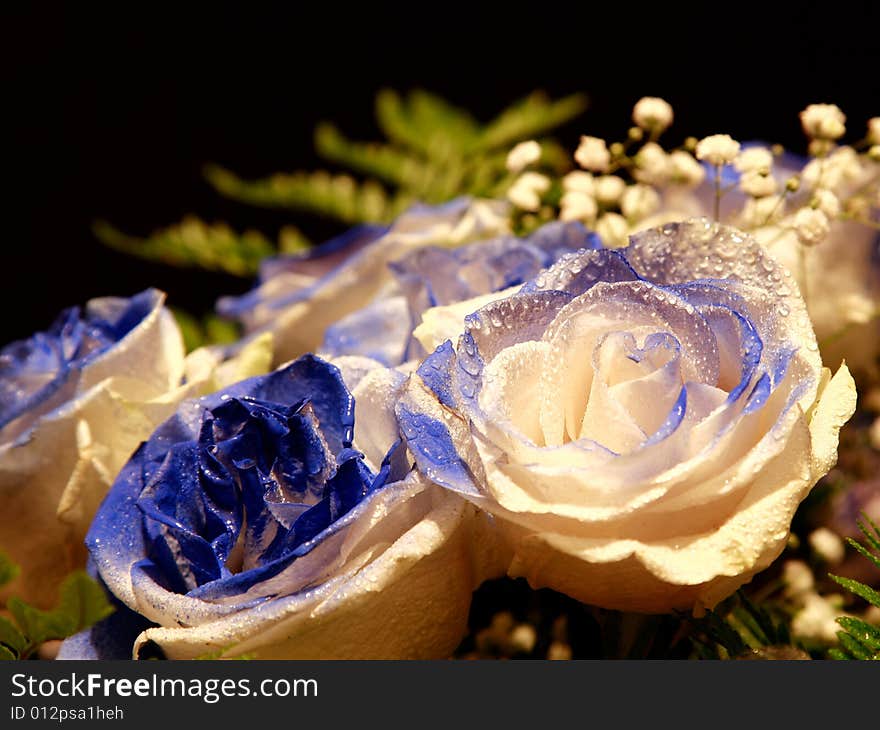 A beautiful bouquet of blue roses