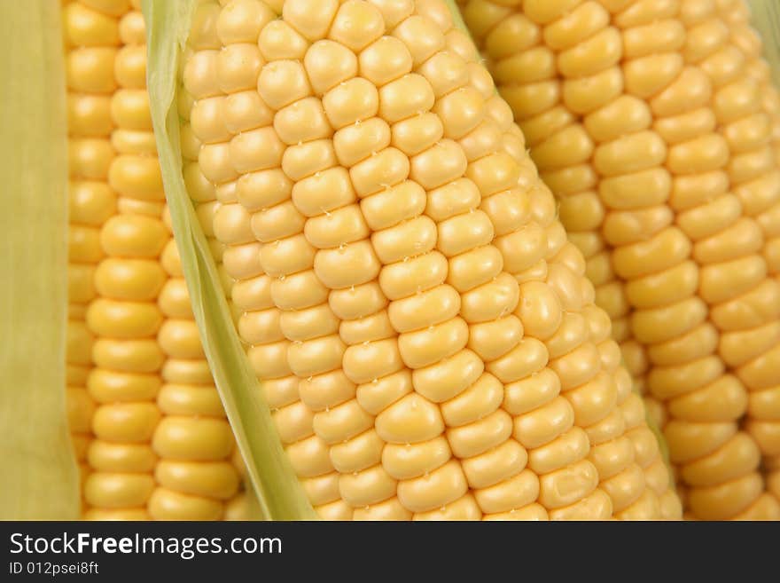 Close up on fresh corn on the cob with additional ears of corn in the background. Close up on fresh corn on the cob with additional ears of corn in the background