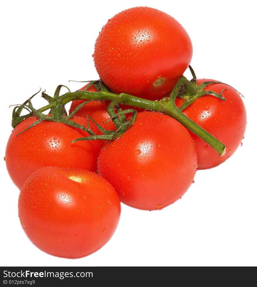 Fresh Tomatoes