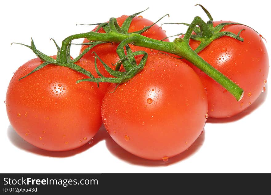 Fresh Tomatoes