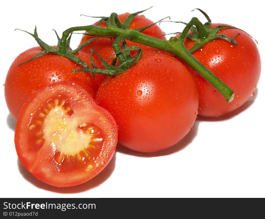 Fresh Tomatoes