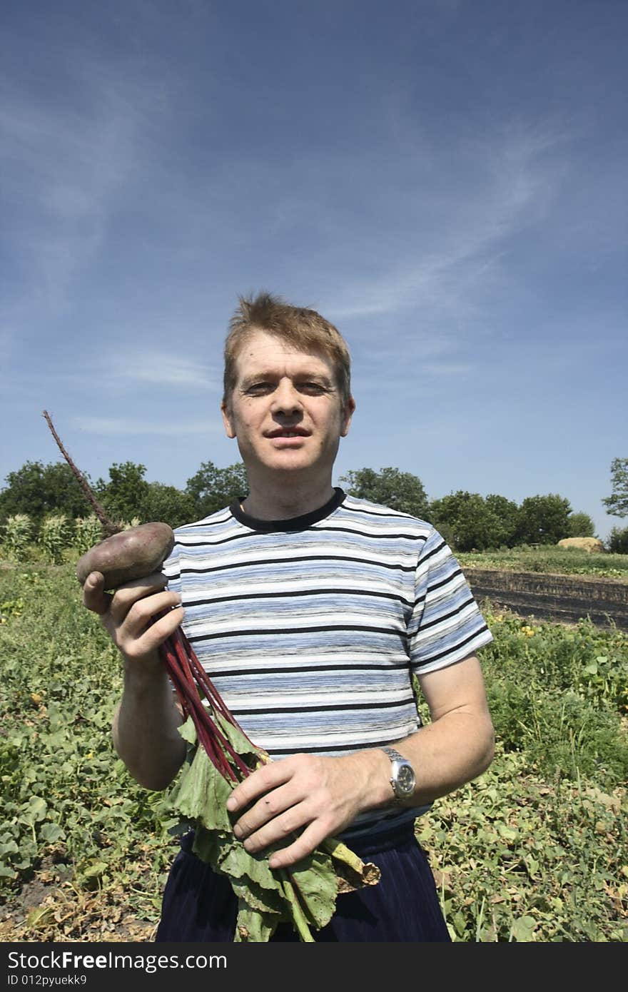 Farmer keeps its beet in hand