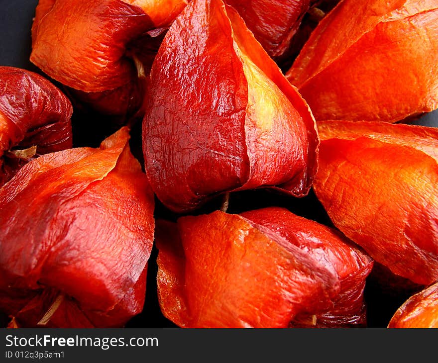 Chinese lantern plant