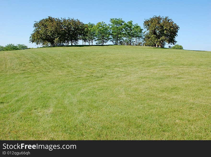 Summer Landscape