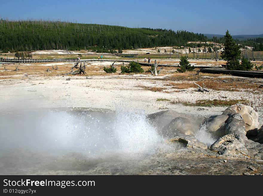 Geysers in Yellowstone