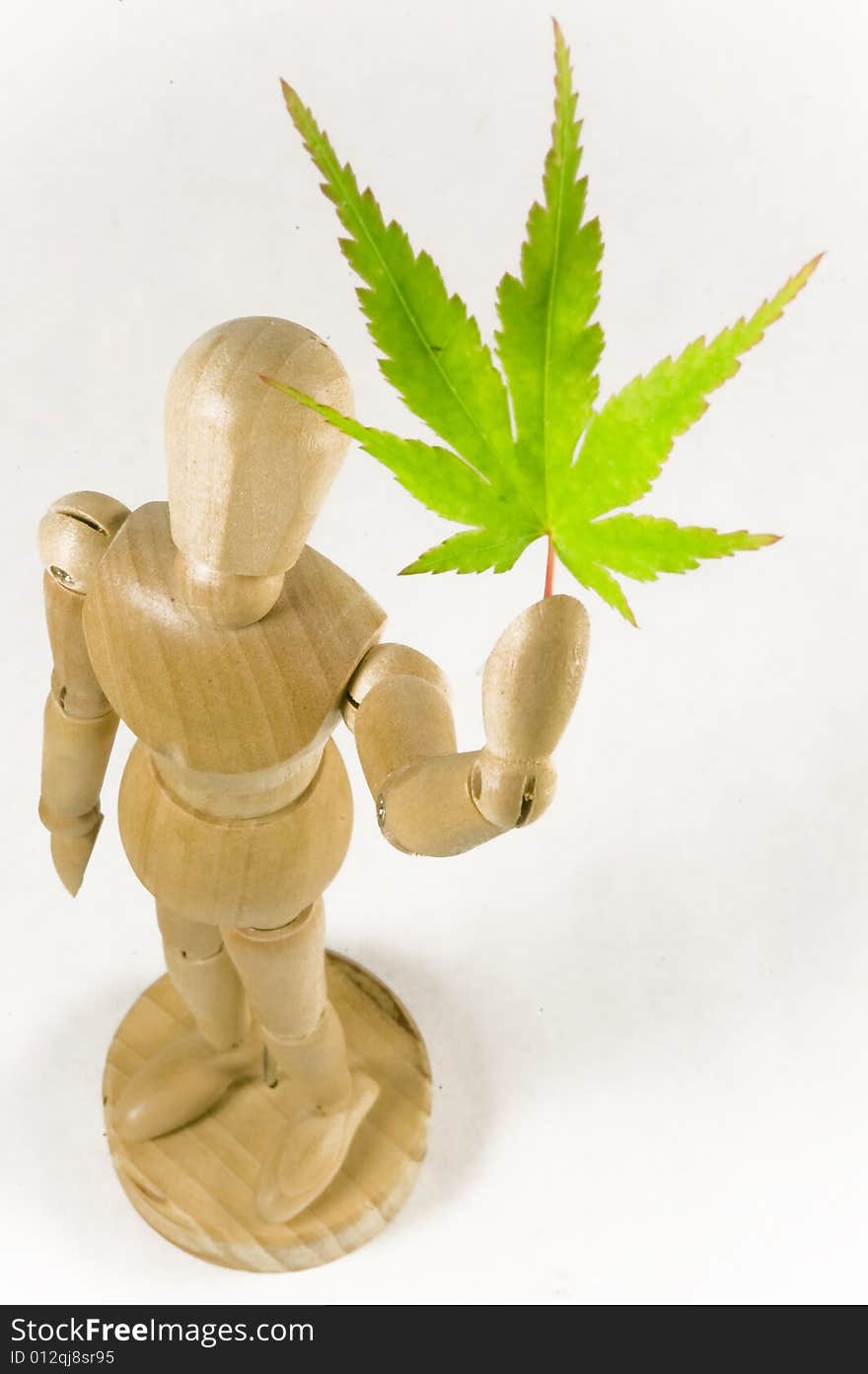 A wooden man holds a maple leaf up. A wooden man holds a maple leaf up