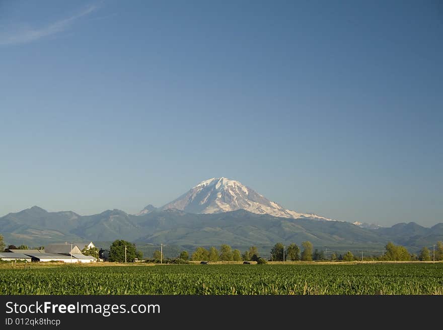 Mount Rainier towers over a rural cornfield near Auburn, Washington. Mount Rainier towers over a rural cornfield near Auburn, Washington.