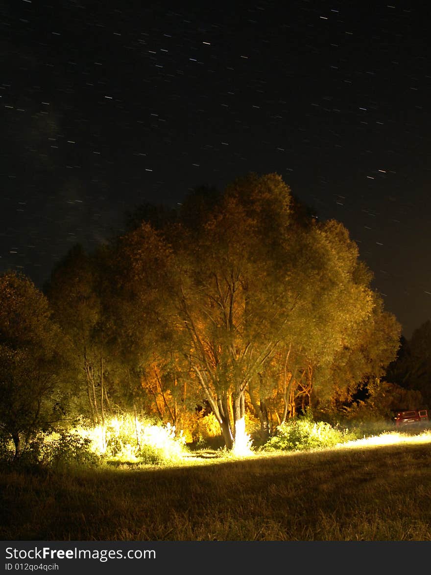 The car on a background of an evening wood. The car on a background of an evening wood