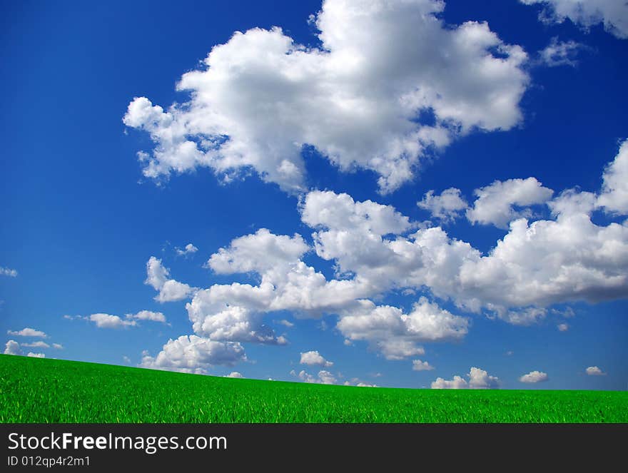 Field on a background of the blue sky