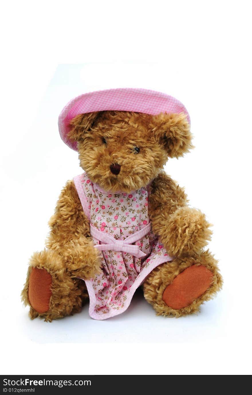 Bear with hat and dress