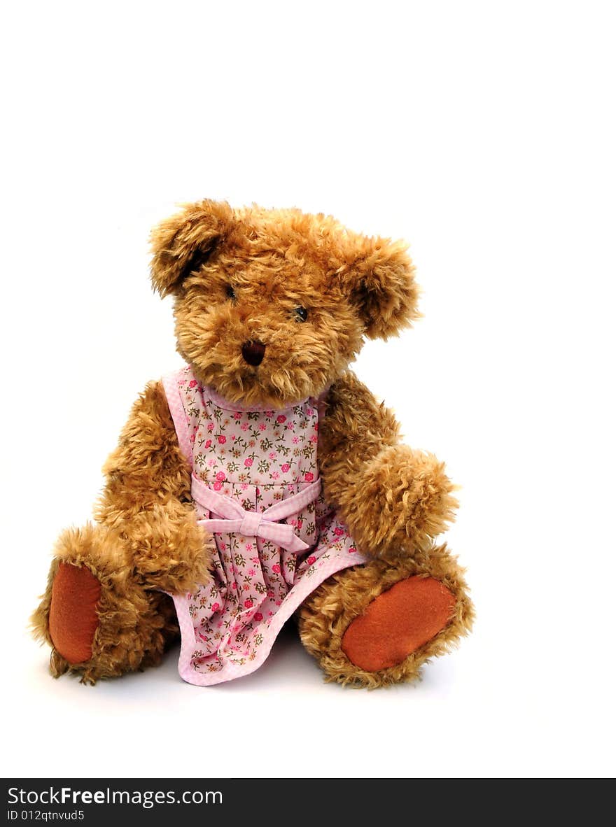 A cute teddy bear wearing a dress