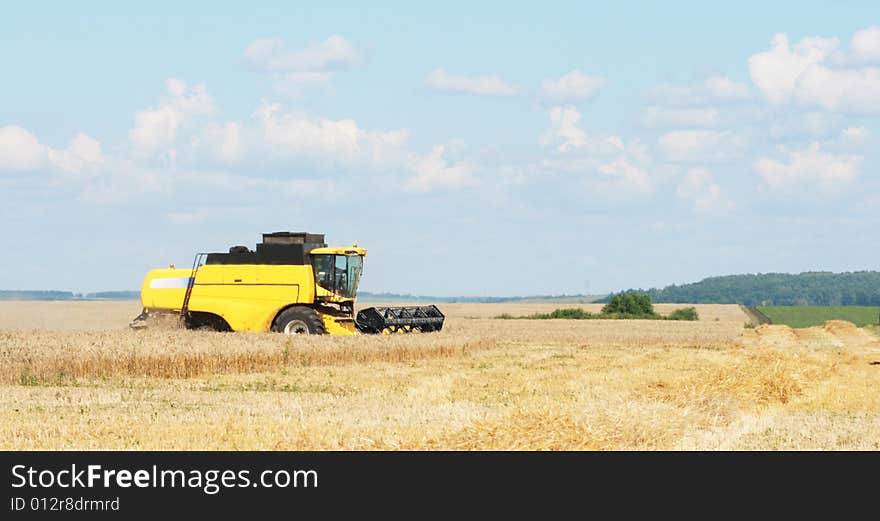 The beginning of harvesting on a wheaten field