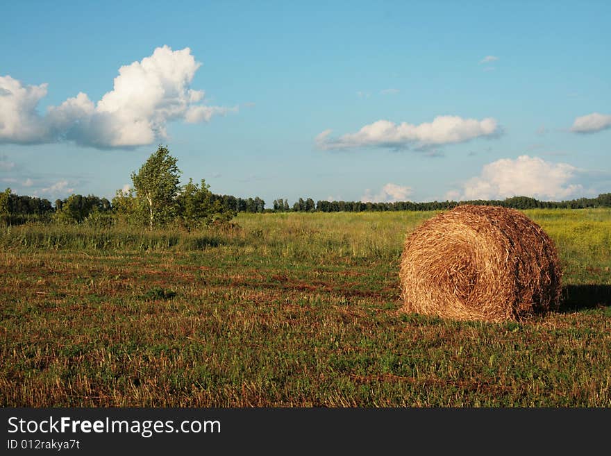 Rural Landscape