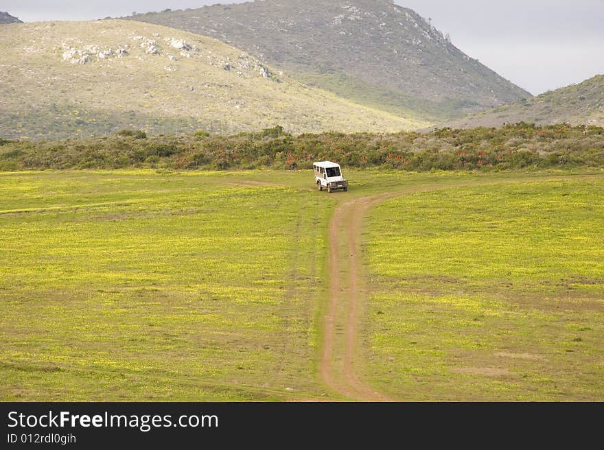 A safari vehicle driving on a track in a wildlife reserve.