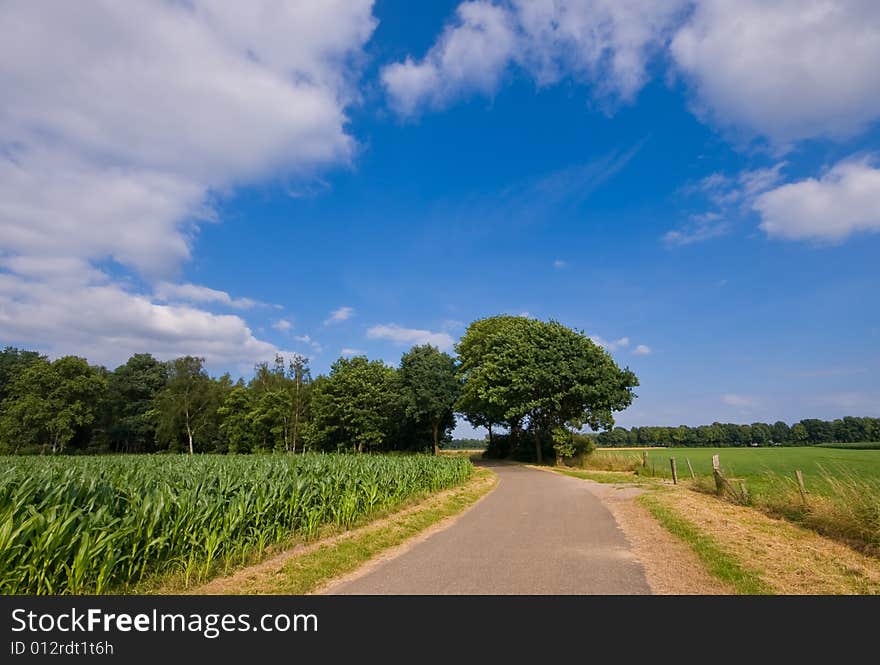 Bright colored ruralscene with country road and blue sky with cluods. Bright colored ruralscene with country road and blue sky with cluods