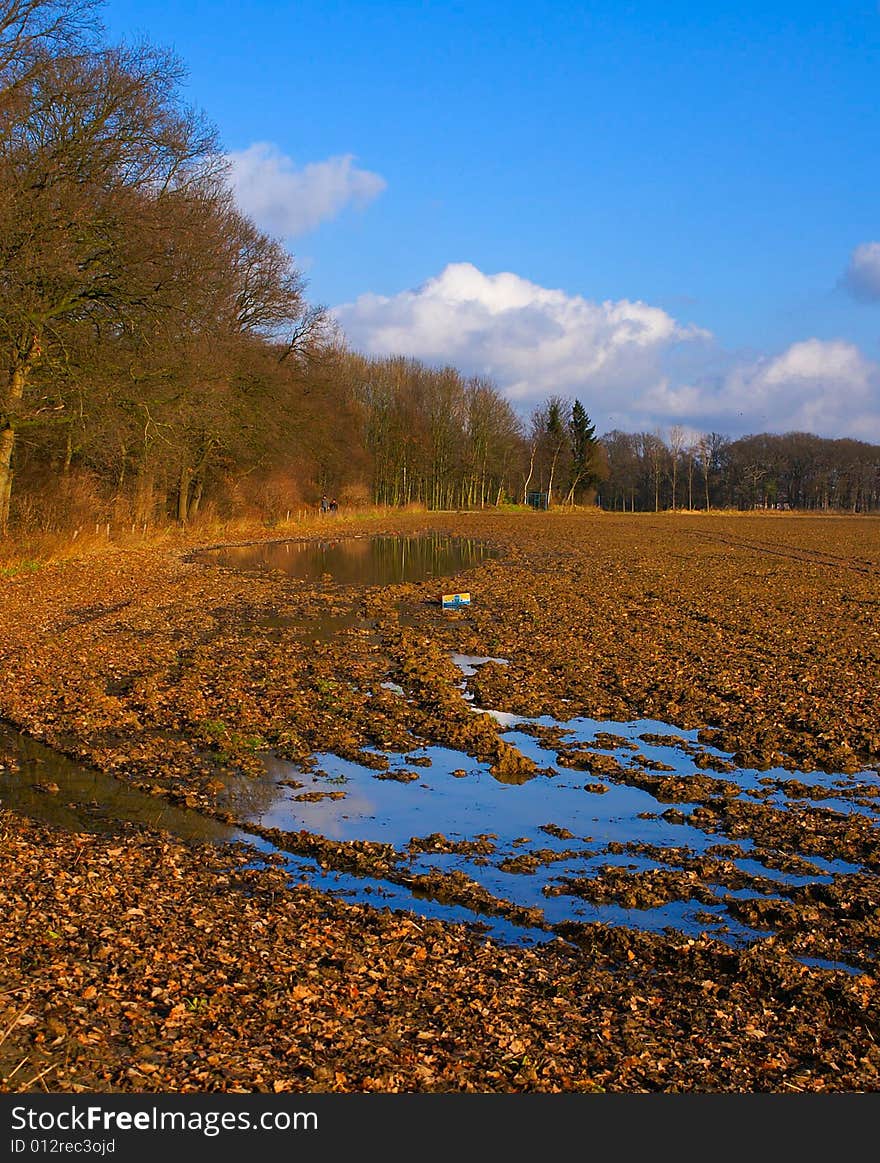 Bright rural autumn landscape with forest on the side on a sunny day with blue sky and puddle