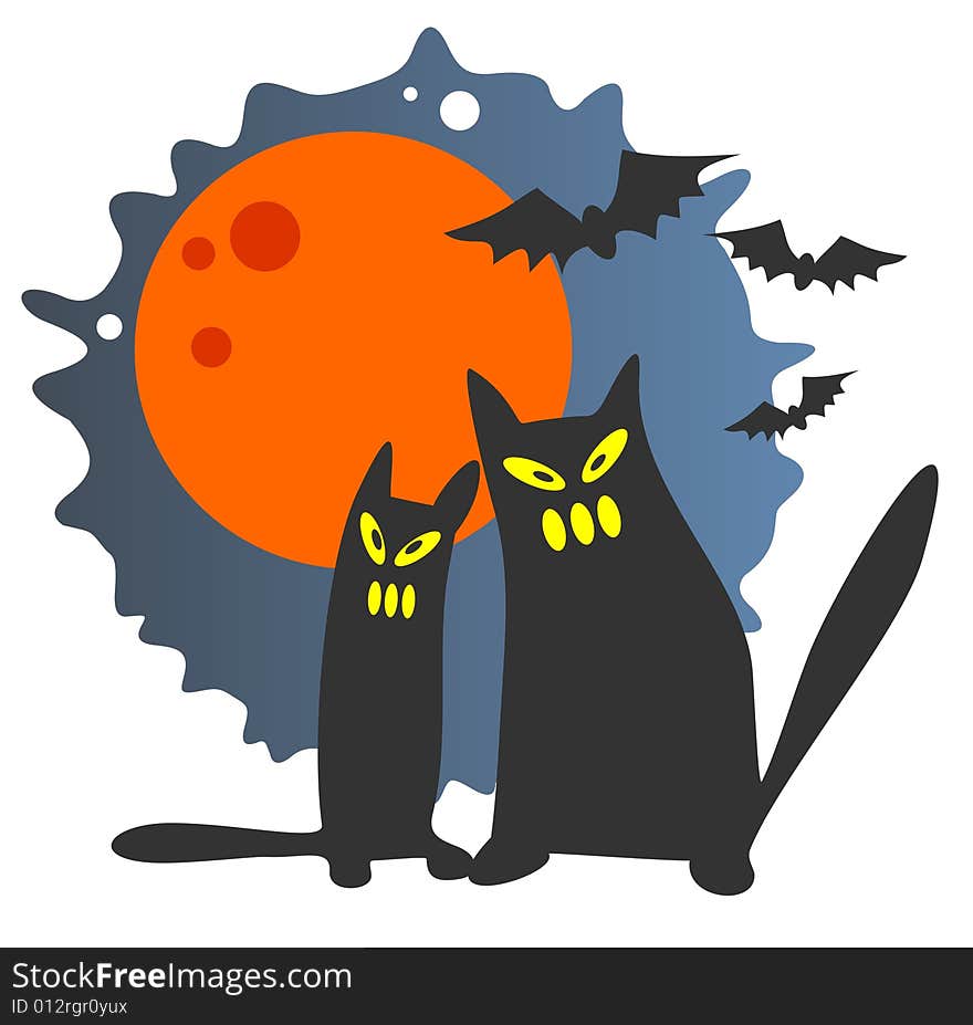 two black cats