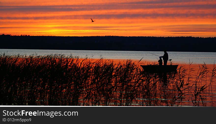 The photo is made on a decline, in Russia on lake Michurinskoe, flash was not applied