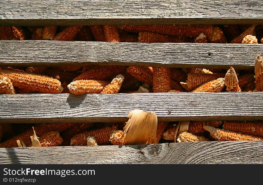 Corn leftovers on stock in old granary. Corn leftovers on stock in old granary.