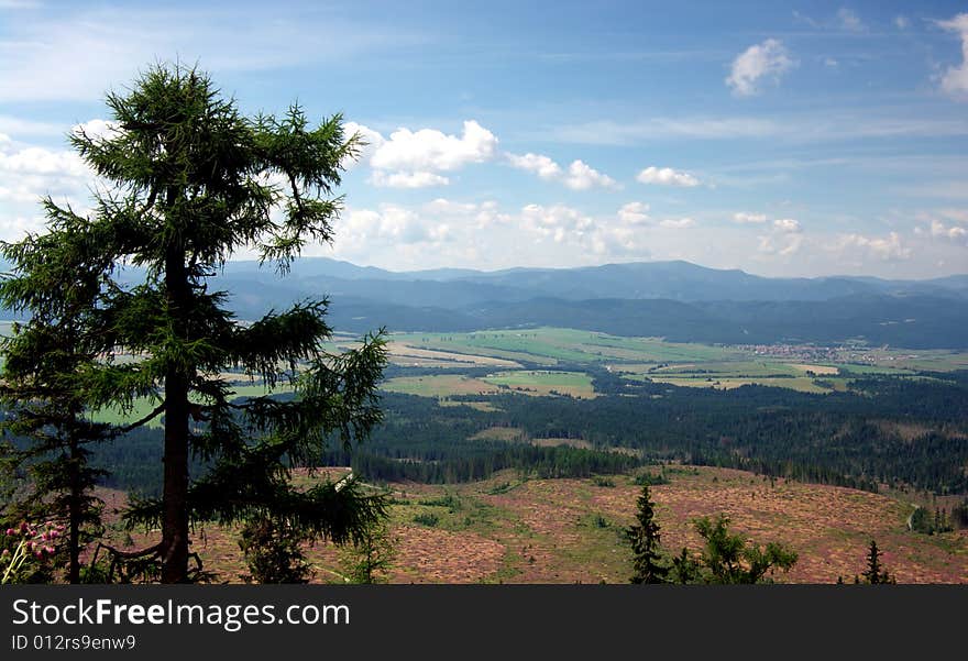 Slovak mountains High tatry, Blue Mountains, the tree itself