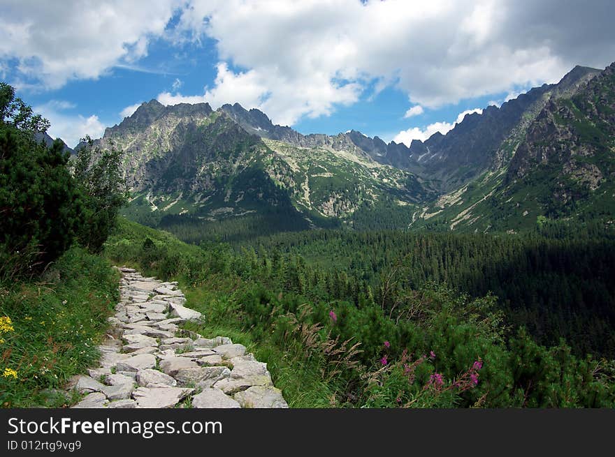 Slovak mountains High tatry, Blue Mountains, the tree itself