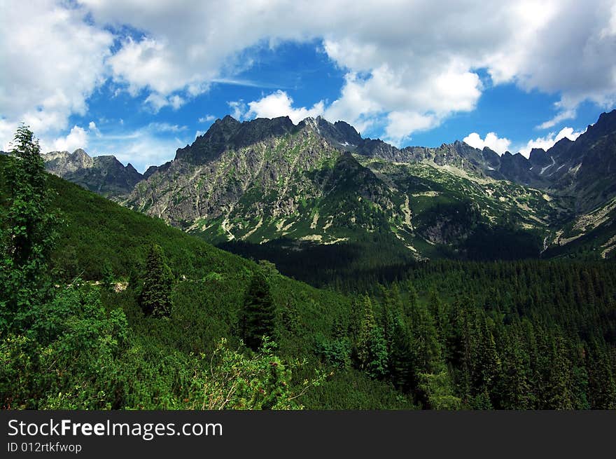 Slovak mountains High tatry, Blue Mountains, the tree itself