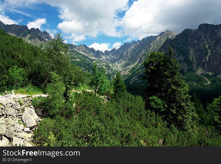 Slovak mountains High tatry, Blue Mountains, the tree itself