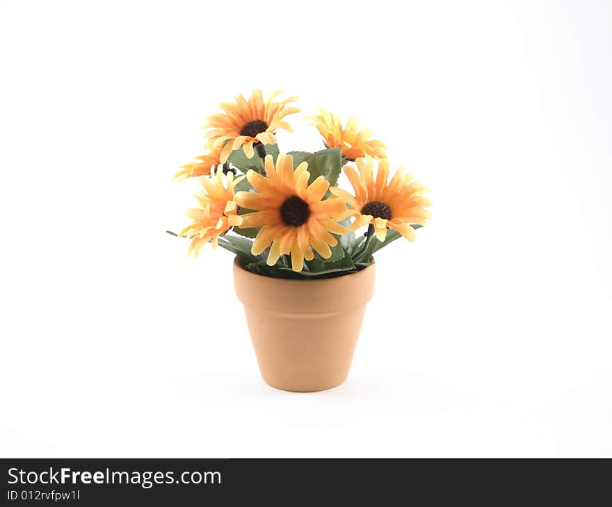 Vase with romantic orange flowers