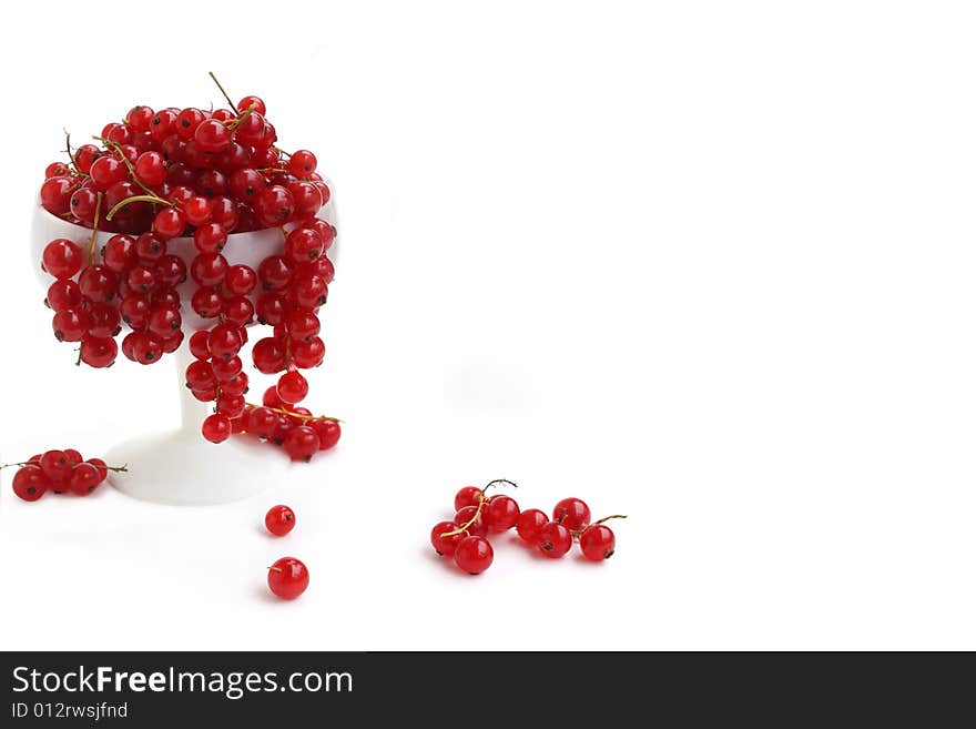 Red Currant