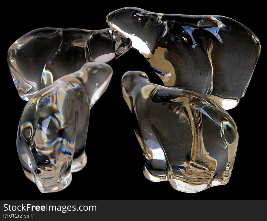 Four Translucent Crystal Polar Bears isolated in black background facing each other. Four Translucent Crystal Polar Bears isolated in black background facing each other