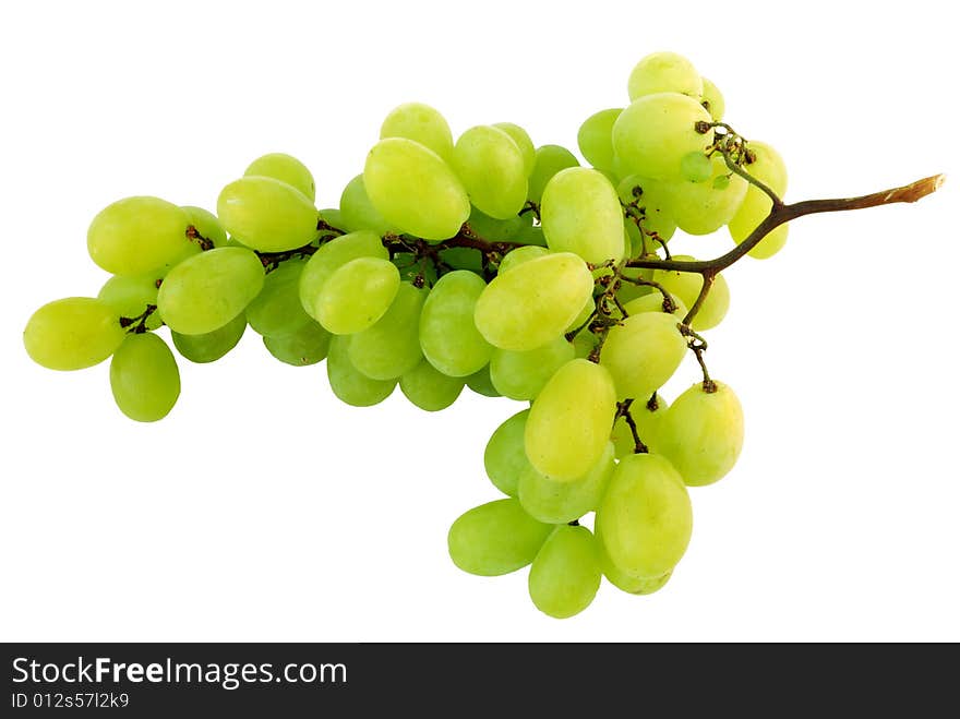 Appetizing bunch of grapes