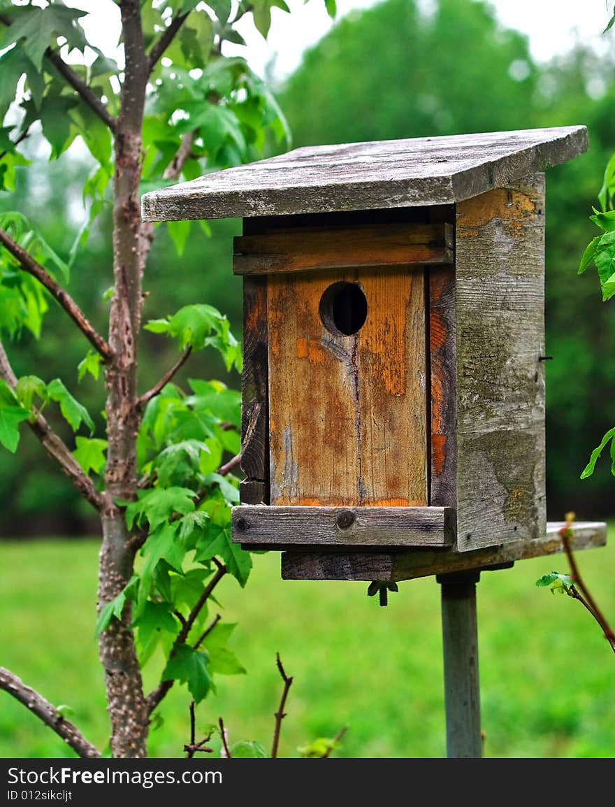 Closeup of wooden handmade birdhouse in a nature conservation area.