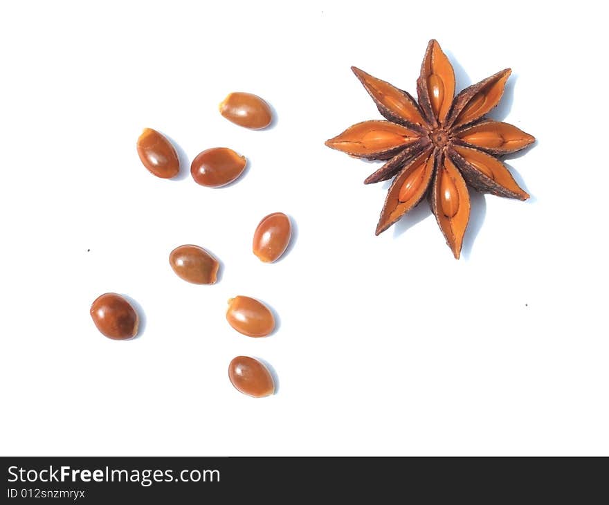 Aniseed and seeds with white background