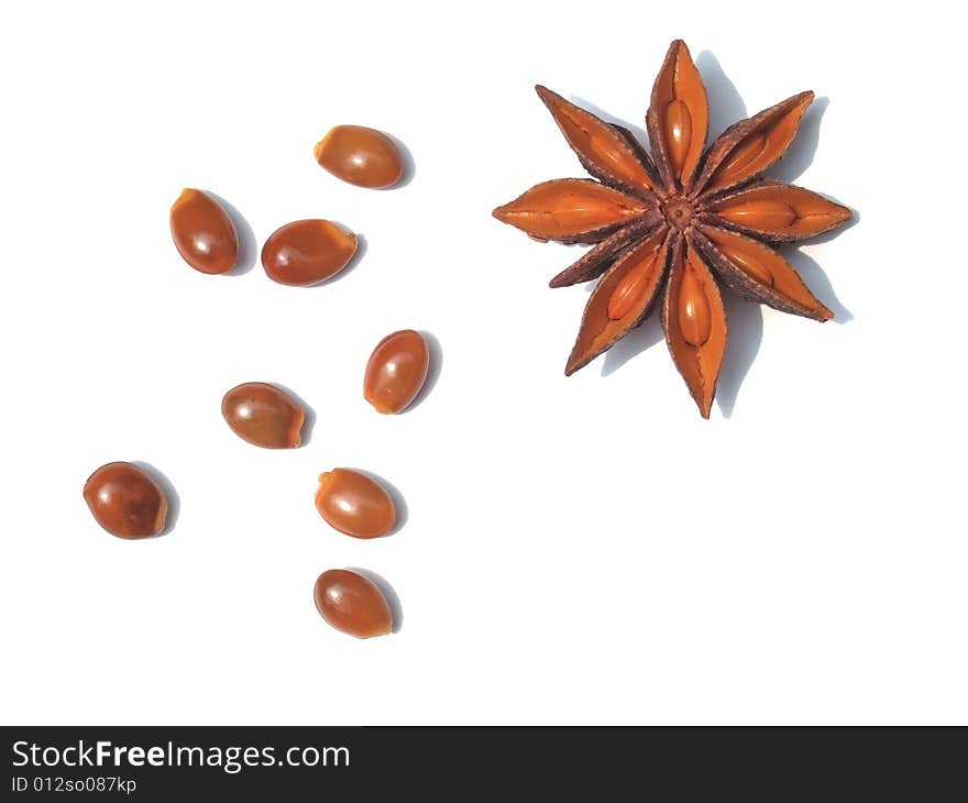 Aniseed and seeds with white background