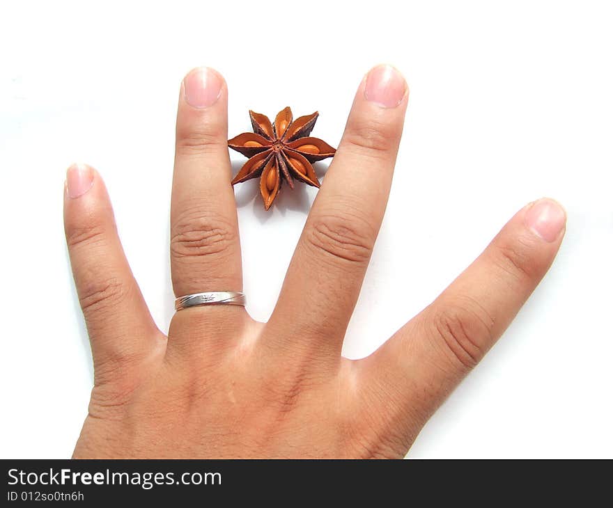 Aniseed between fingers with white background