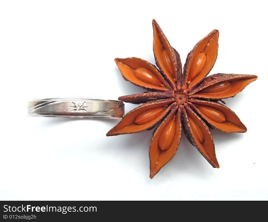 Aniseed and Ring with white background