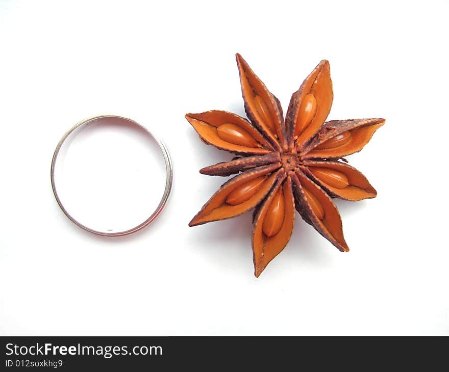 Aniseed and Ring with white background