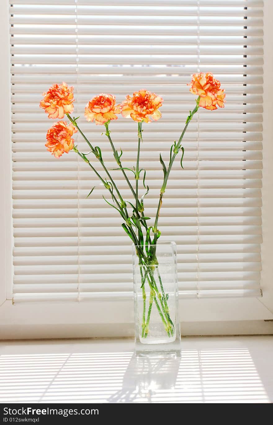 A bunch of orange carnation on window-still