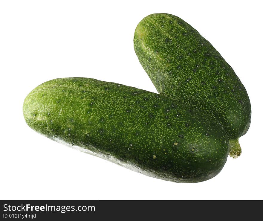 Inosculated Cucumbers. Isolated