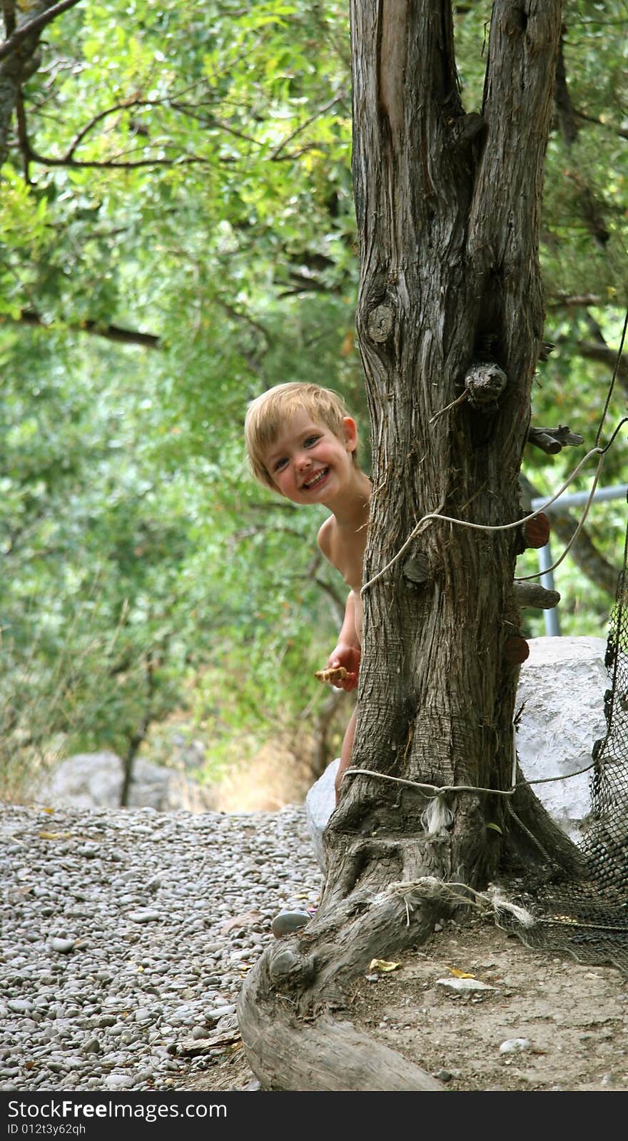 The little girl is hidden behind a tree