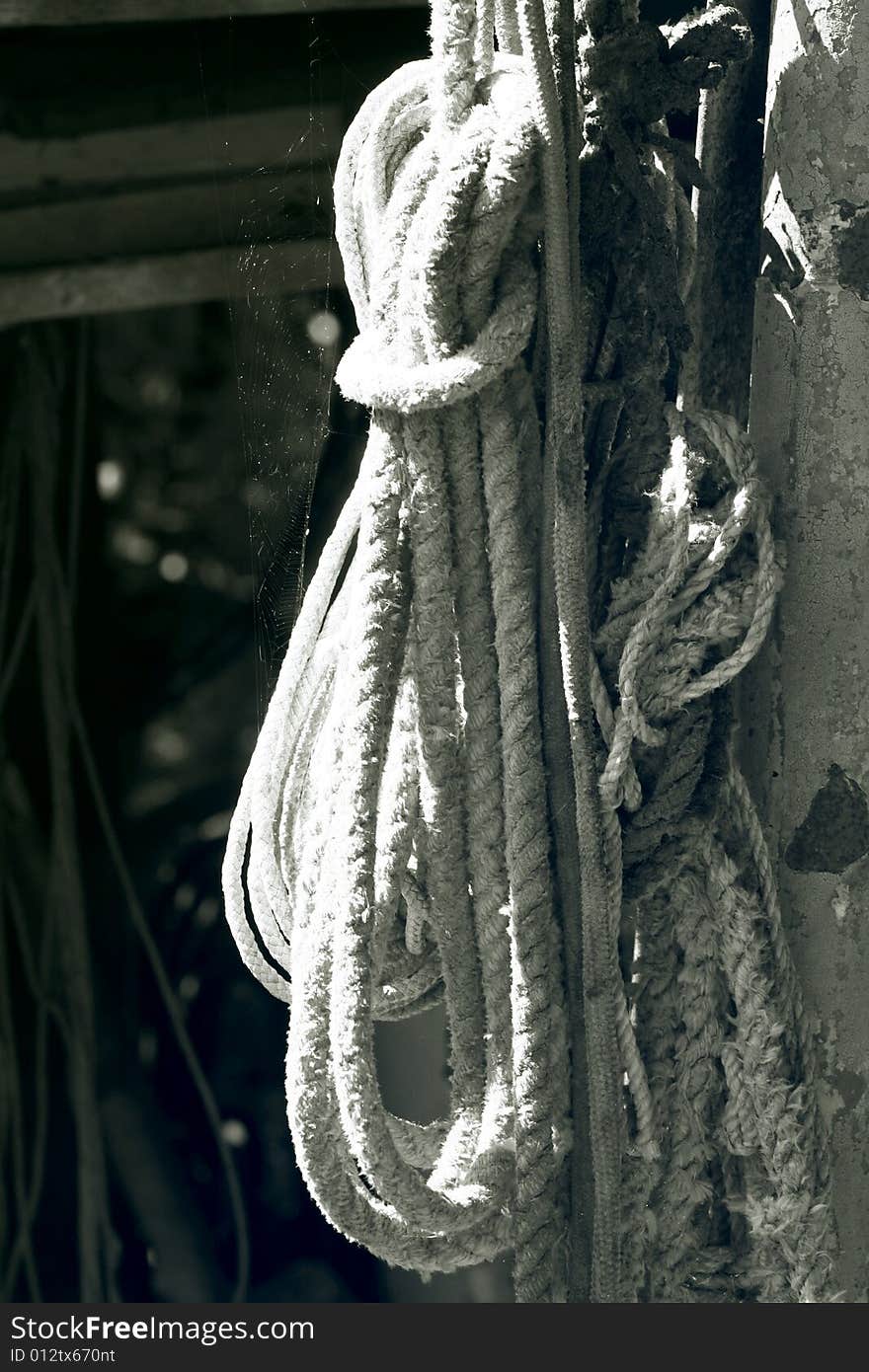 The hanging rope covered with a web. The hanging rope covered with a web