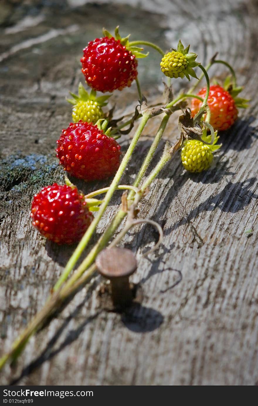 Red and green strawberry on old desk. Summer time.