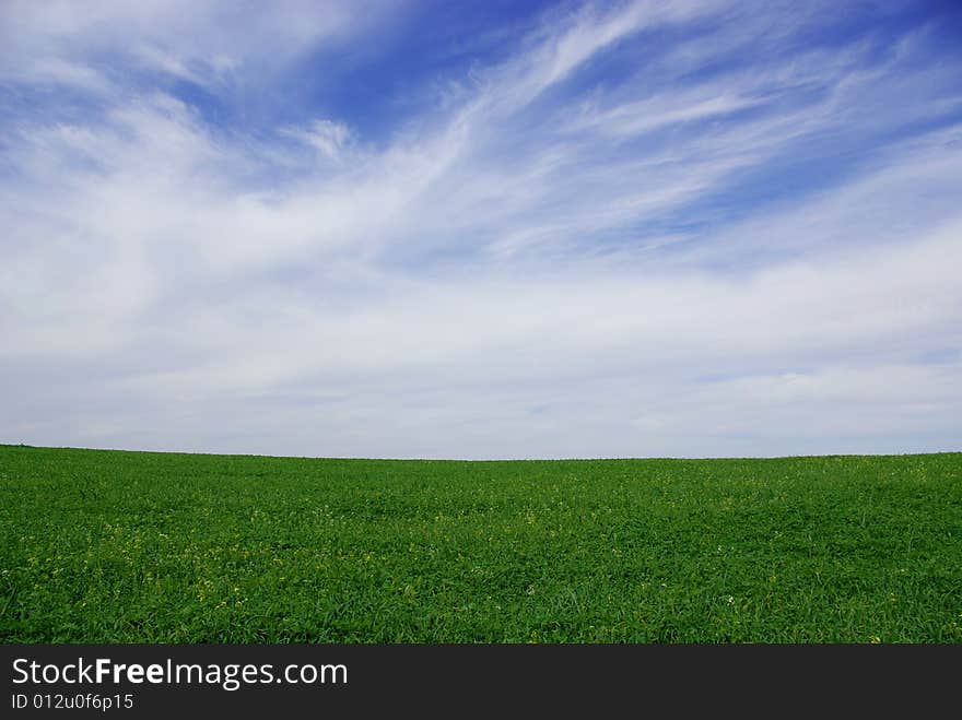 Green meadow under blue sky with clouds. Green meadow under blue sky with clouds