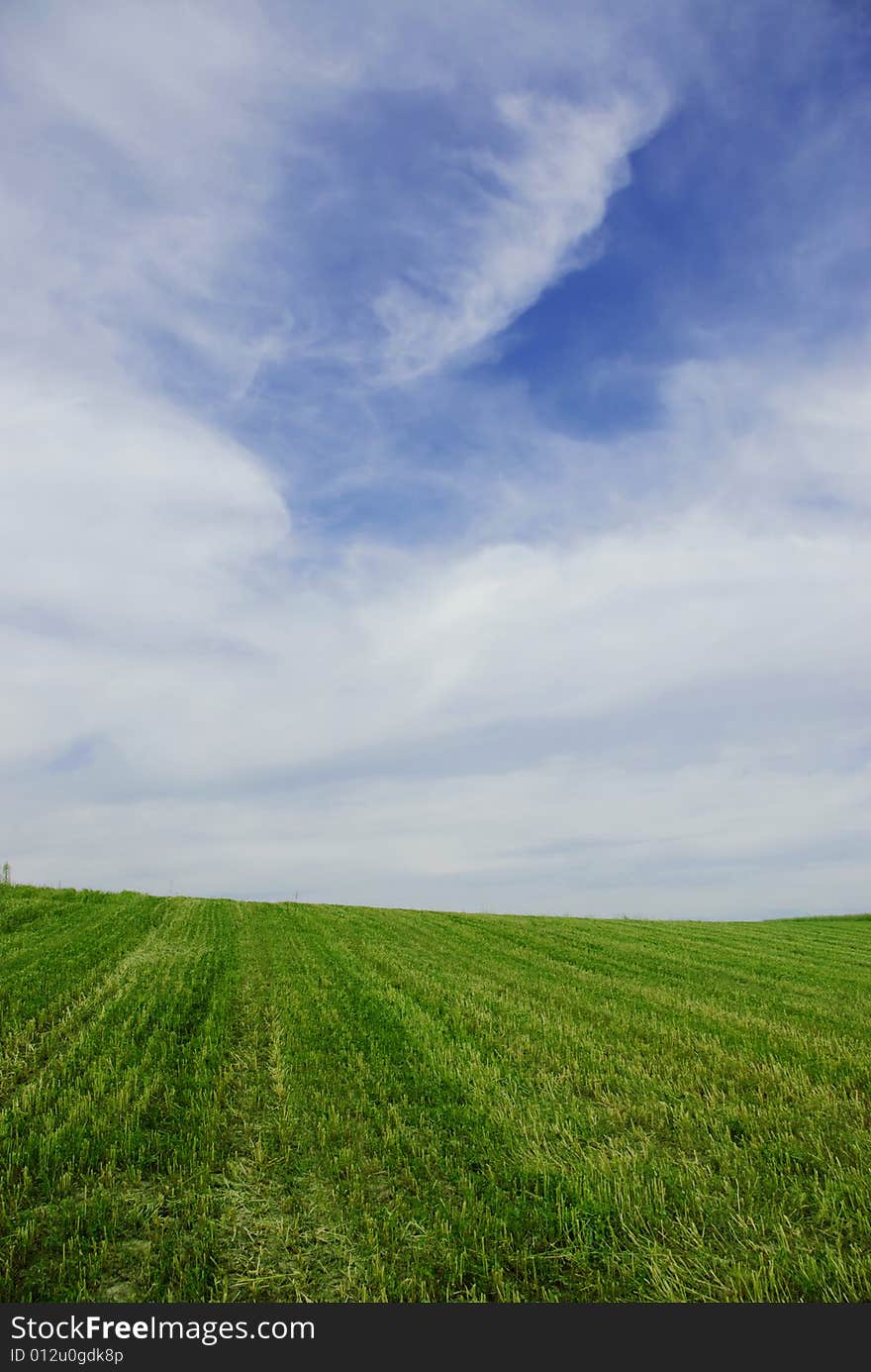 Green meadow under blue sky with clouds. Green meadow under blue sky with clouds