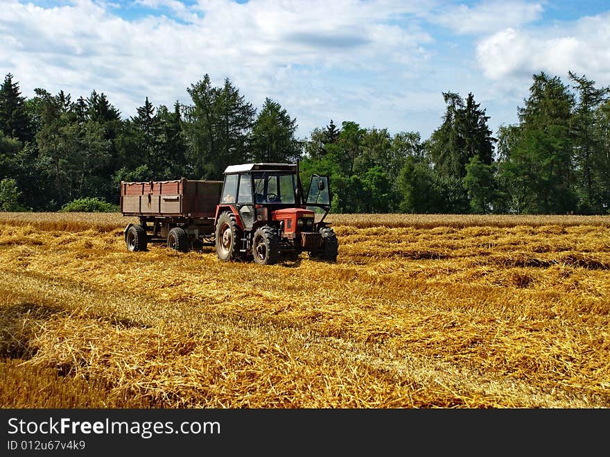 Harvest 1