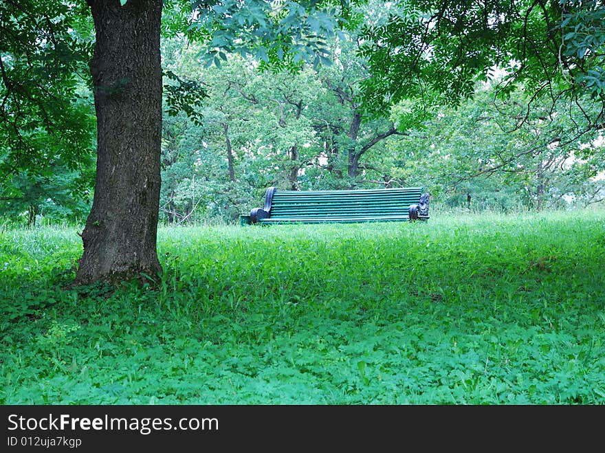 Bench in green park of rest