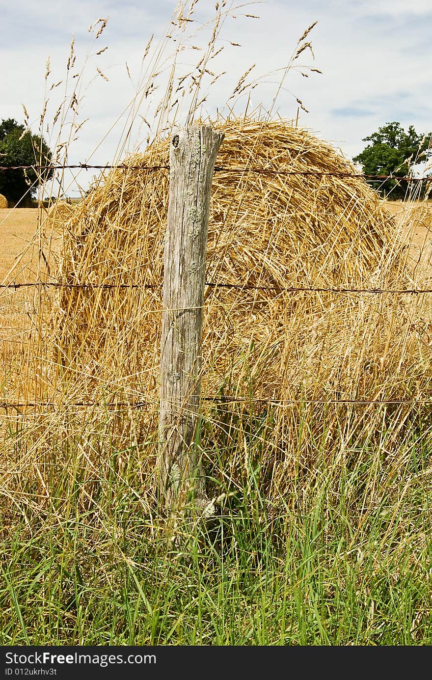 Hay bale in a summer field