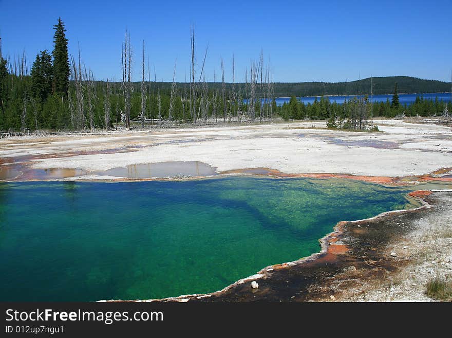 Green pond around geysers in Yellowstone