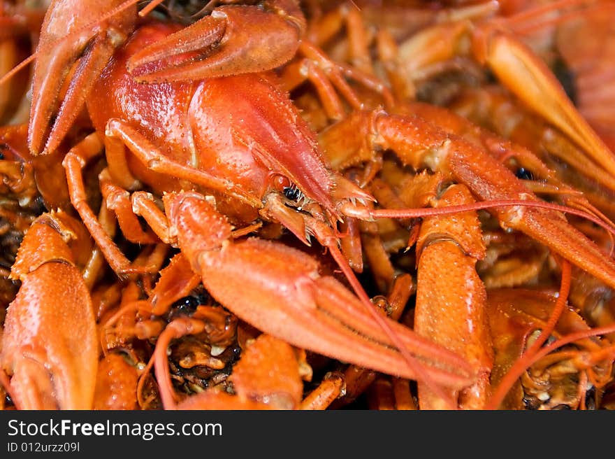 Organic delicious food: fresh boiled red crayfish. Organic delicious food: fresh boiled red crayfish